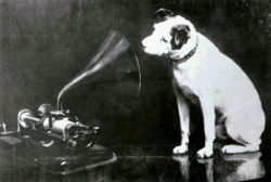250px OriginalNipper Nipper   The First Dog of Music